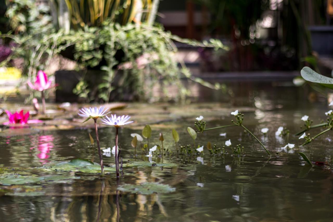 ホテル Hidden Padma Retreat ウブド エクステリア 写真
